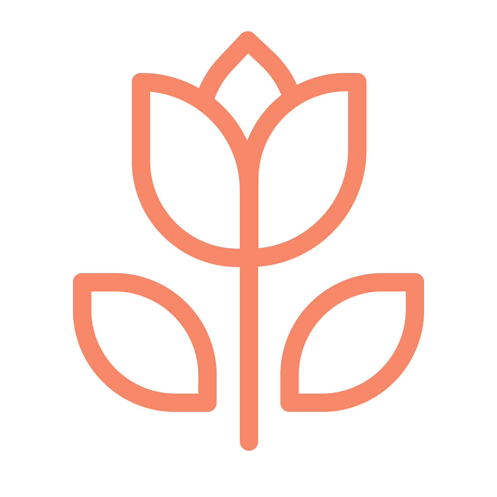Fiori